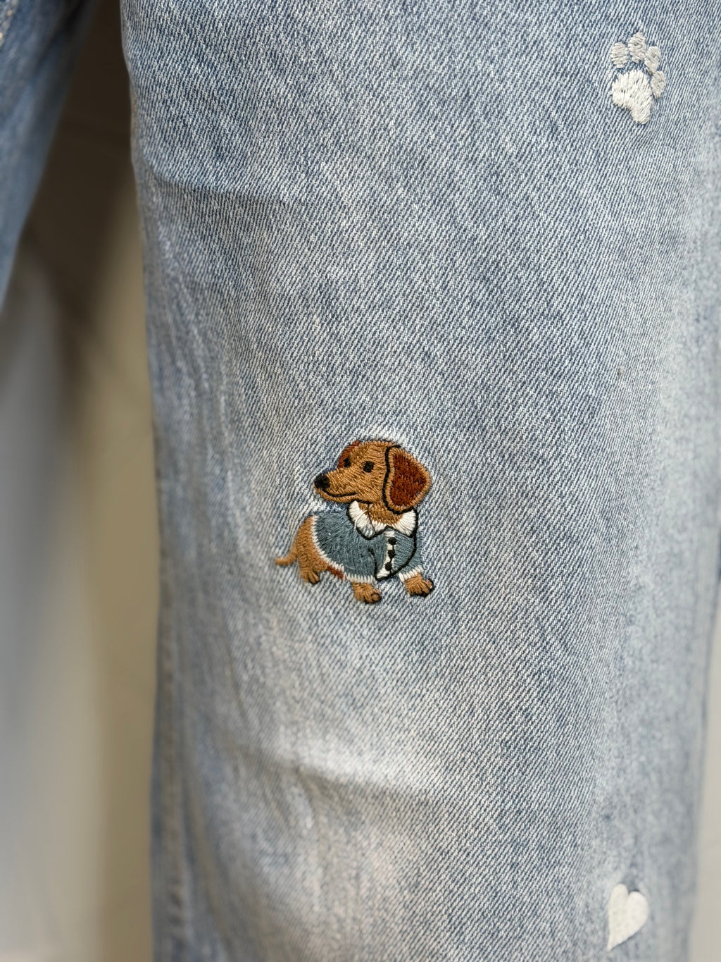 Jeans Dog