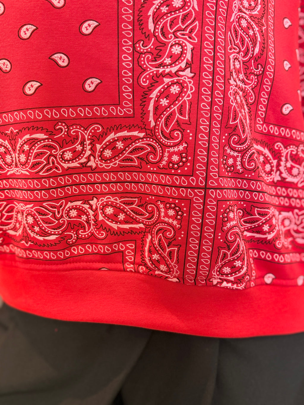 Felpa bandana spring