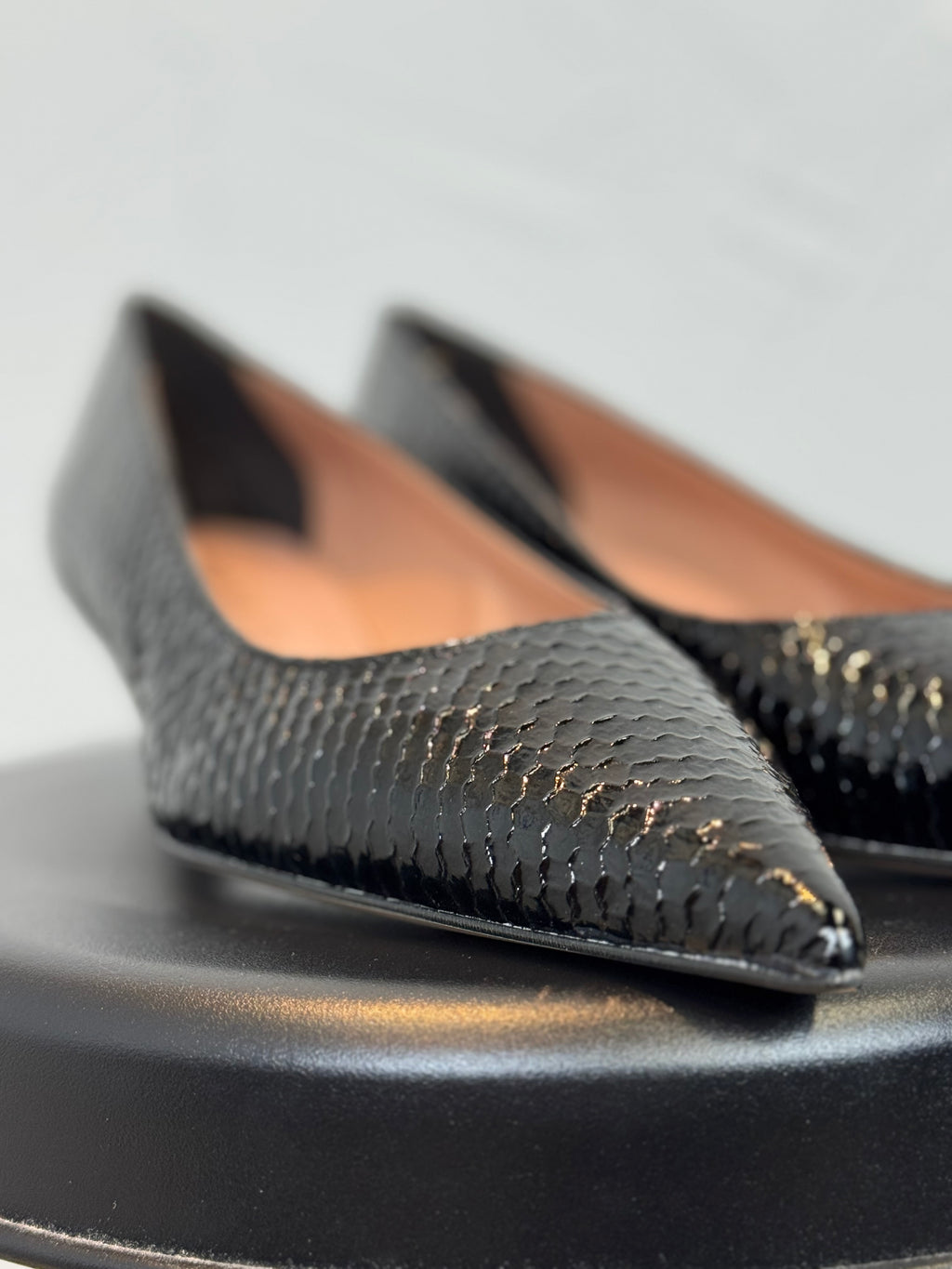 Scarpa Spedy